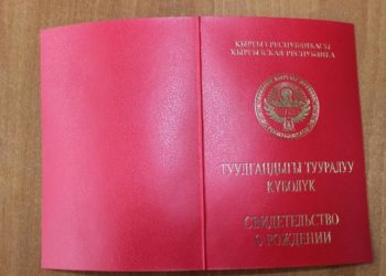 Санариптик өнүктүрүү министрлиги эми баланын туулгандыгы тууралуу күбөлүгүн үйгө жеткирип берет