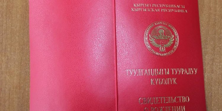 Санариптик өнүктүрүү министрлиги эми баланын туулгандыгы тууралуу күбөлүгүн үйгө жеткирип берет