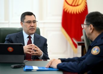 Садыр Жапаров Түркияга барып келген айрым куткаруучулар сыйланарын айтты