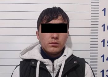 «500 миң сом деп бааланган». Чүйдө жаран уурдалган эки айгырды сатуу учурунда кармалган