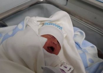 Жашоо уланат… Түркияда зилзала болгон аймакта 10 күндө 5 миңге чукул ымыркай төрөлдү