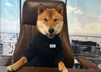 Илон Маск Twitter’дин башкы директору кылып итти дайындады