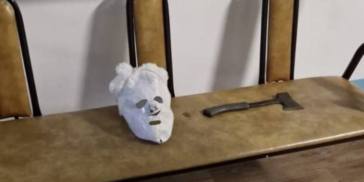 Казакстандагы окуучунун кол салуусу. Бет кап менен балтанын сүрөтү тарады