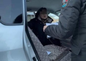 Нарында миң сомдуктарды алып жаткан жеринен аял киши кармалды