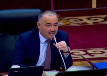 Нурланбек Шакиев «өзүңүз ордуңузда отурбай жатасыз» дегендерге жооп берди