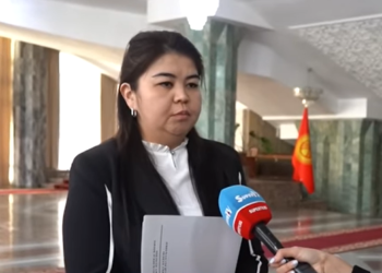 Депутат Алимжанова: «Бакиев Кыргызстанга келгени менен мыйзам чегинде жооп берет»