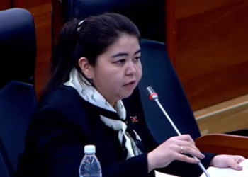 Депутат Алимжанова жаштарды ишке орноштуруу боюнча мамлекет кандай кепилдик берерине кызыкты