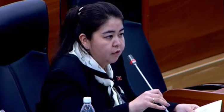 Депутат Алимжанова жаштарды ишке орноштуруу боюнча мамлекет кандай кепилдик берерине кызыкты