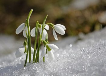 1-мартка карата өлкөдө күтүлгөн аба ырайы