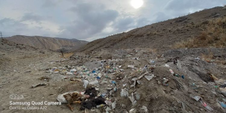«Адамдын эле өлүгү жок. Тоңдогу таштанды Ысык-Көлдү булгап жатат». Акимчиликтин жообу