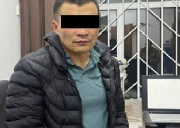 УКМК издөөдө жүргөн чет мамлекеттин жаранын кармады