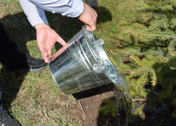 Чоңу да, башкасы да катышат. 18-мартта ишембилик өтөт