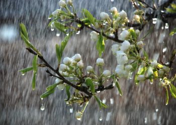 30-мартка карата өлкөдө күтүлгөн аба ырайы