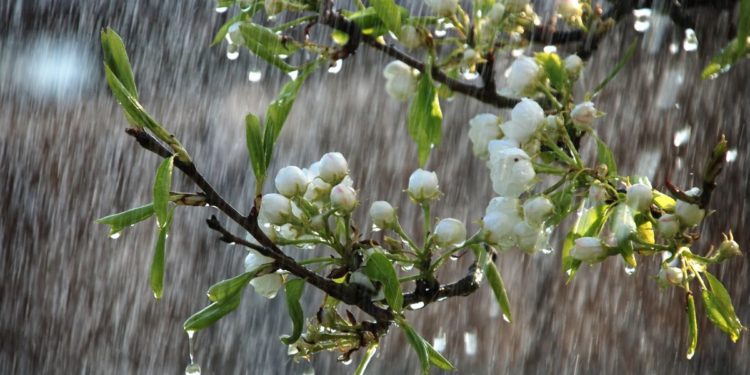 30-мартка карата өлкөдө күтүлгөн аба ырайы