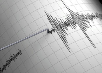Кыргызстан менен Тажикстандын чек арасында күчү 4,5 баллга жеткен жер титирөө болду