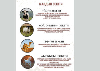 Муфтият зекет боюнча маалымат берди