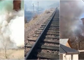 Тоңдогу өрттөн улам эмнелер күйгөндүгү айтылды