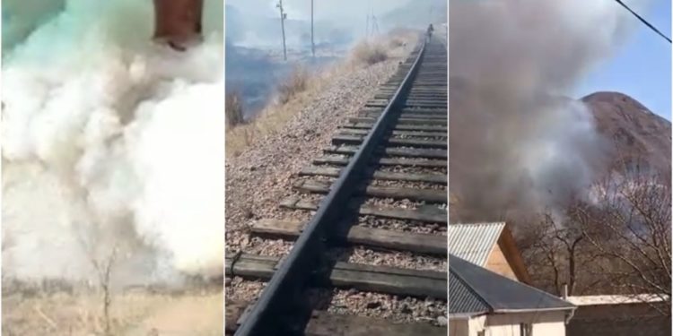 Тоңдогу өрттөн улам эмнелер күйгөндүгү айтылды
