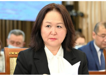 «Коррупциядан үрөйүм учту». Кызматтан кеткен экология министри үн катты