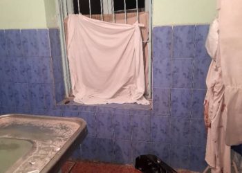 «Мышык кирип, өлүктү жесе эмне болот?» Өзгөндөгү өлүккананын кейиштүү абалы