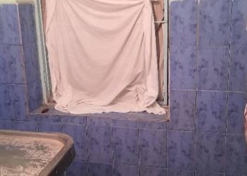 «Мышык кирип, өлүктү жесе эмне болот?» Өзгөндөгү өлүккананын кейиштүү абалы боюнча башкы дарыгер үн катты