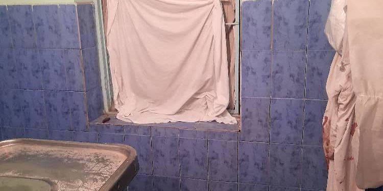 «Мышык кирип, өлүктү жесе эмне болот?» Өзгөндөгү өлүккананын кейиштүү абалы боюнча башкы дарыгер үн катты