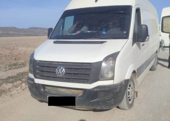 Электр зымдарын контрабандалык жол менен алып өтүп жаткан жаран кармалды