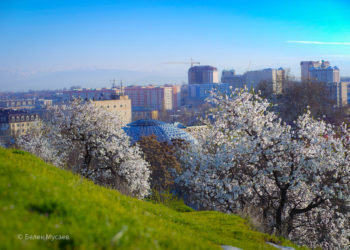 Сулайман-Тоодогу жаз. Көз жоосун алган сүрөттөр