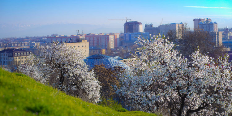 Сулайман-Тоодогу жаз. Көз жоосун алган сүрөттөр