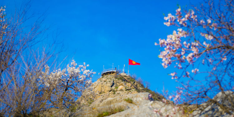 Сулайман-Тоодогу жаз. Көз жоосун алган сүрөттөр