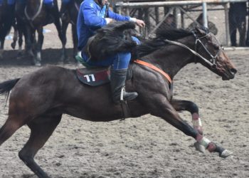 Нооруз-2023: Көк бөрү оюну боюнча бешинчи күндүн жыйынтыгы