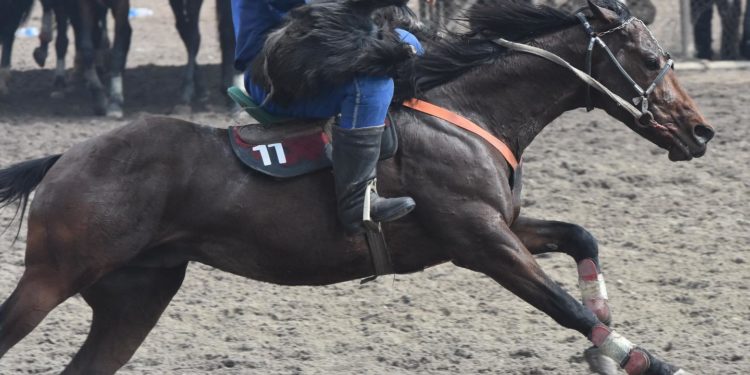 Нооруз-2023: Көк бөрү оюну боюнча бешинчи күндүн жыйынтыгы