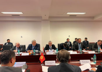 Душанбеде топографиялык жумушчу топтордун кезектеги жолугушуусу өттү