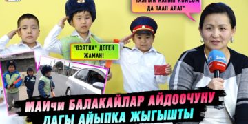 МАИчи балакайлар айдоочуну дагы айыпка жыгышты