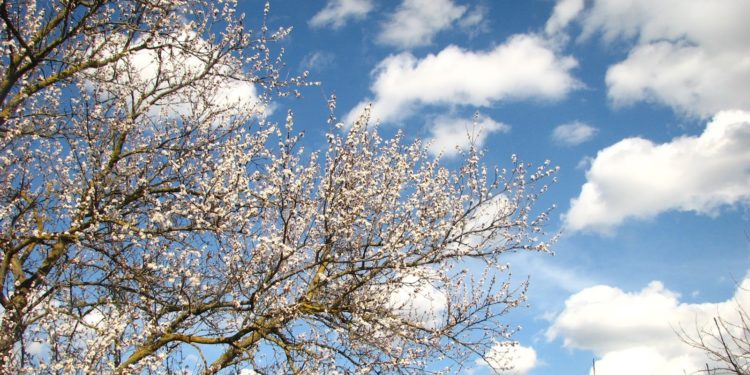 29-мартта өлкөдө күтүлгөн аба ырайы