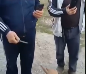 «Күрөктүн сабы менен башка чапкан». Чүйдө мал ээлери койчусун сабап салган (видео)