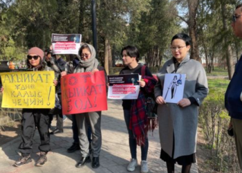 Бишкекте кордолгон 13 жаштагы кызды колдоо акциясы өтүп жатат