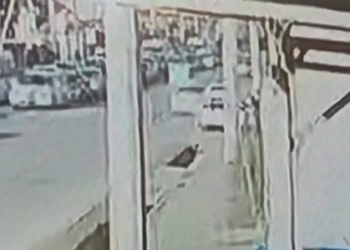 Бишкекте айдоочу 5 жашар баланы сүзүп, жардам көрсөтпөй из жашырган (видео)