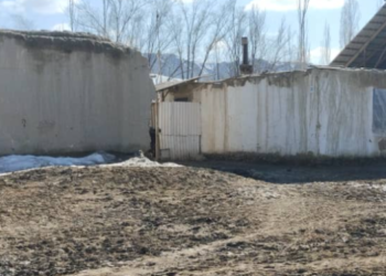 «Пайдубал тургузуу тапшырылды». Президентке кайрылган 5 жаштагы кыздын үй-бүлөсүнө үй салынышы мүмкүн