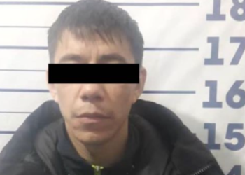 Бишкекте аялы менен наристесин сабаган шектүү камакта калтырылды