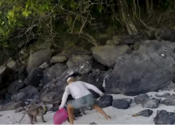 «1 жаштагы баласына кол салган». Таиландда турист маймылдар менен мушташкандагы видео тарады