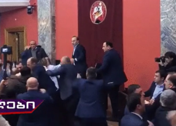 Грузиянын парламентинде депутаттар мушташып кетишти (видео)