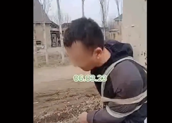 Ак-Жарда уурулук кылган делген кишини мамыга байлап койгон видео тарады