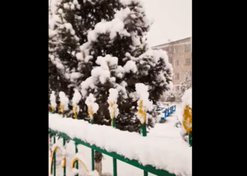 Нарында кар жаады (видео)