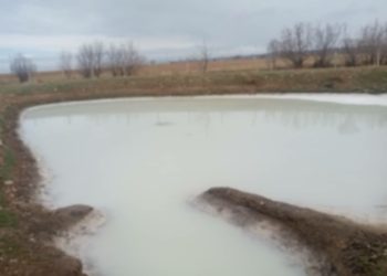 «Сасып жатат». Ысык-Көлдө сууну булгап жаткан видеодон кийин териштирүү башталды