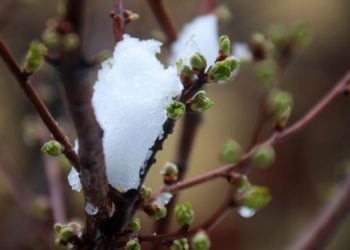 Шашылыш билдирүү! Аба ырайы өзгөрүп, үшүк жүрүшү мүмкүн