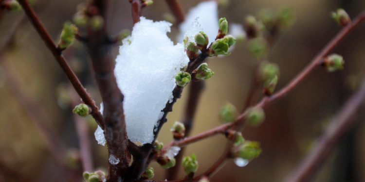 Шашылыш билдирүү! Аба ырайы өзгөрүп, үшүк жүрүшү мүмкүн