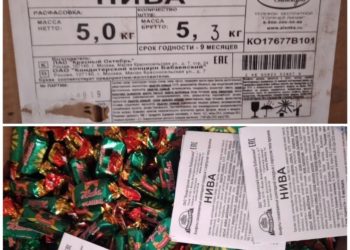 Панфиловдогу мектеп-интернатында мөөнөтү өтүп кеткен тамак-аш жана дары-дармектер табылды