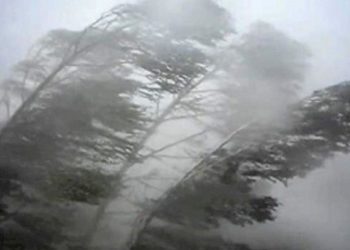 Бишкек менен Чүйдө катуу шамал күтүлөт