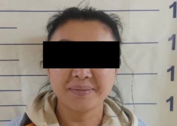 Бишкекте алдамчылыкка шектелген аял 2 жылдан кийин кармалды